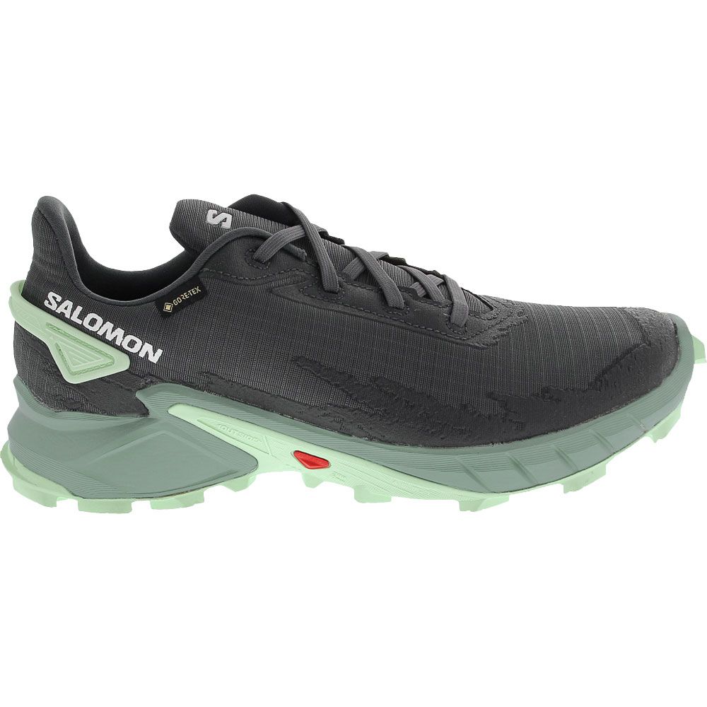 Uitlijnen Onbekwaamheid Chemicaliën Salomon Alphacross 4 GTX | Womens Trail Running Shoes | Rogan's Shoes