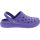 Shoe Color - Violet